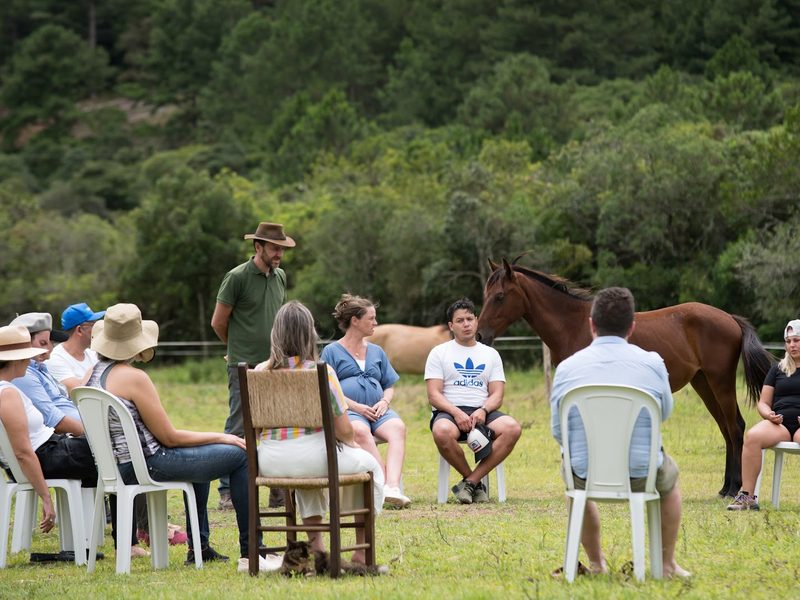 Roda de cadeiras montada no campo durante um trabalho de constelação, com um cavalo ao lado.