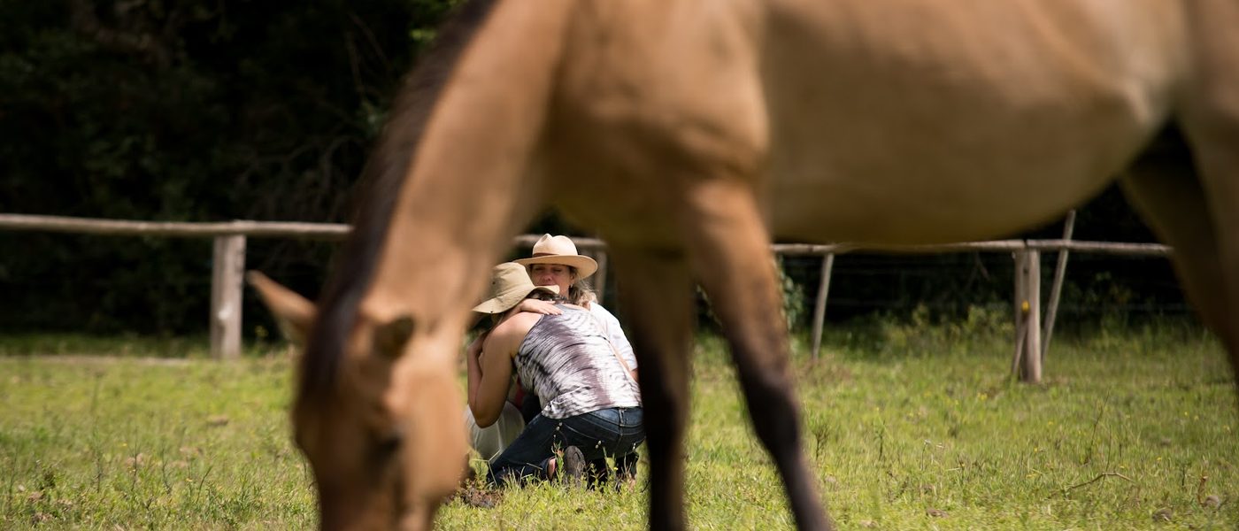 Cavalo pastando em primeiro plano enquanto duas pessoas se abraçam ao fundo, no campo.
